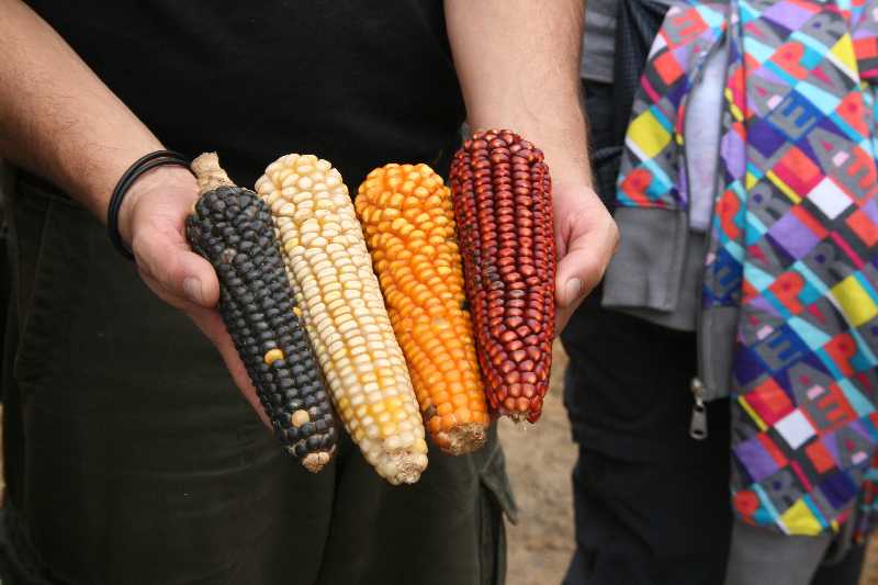 Mexico & Guatemala 2010 - 0437